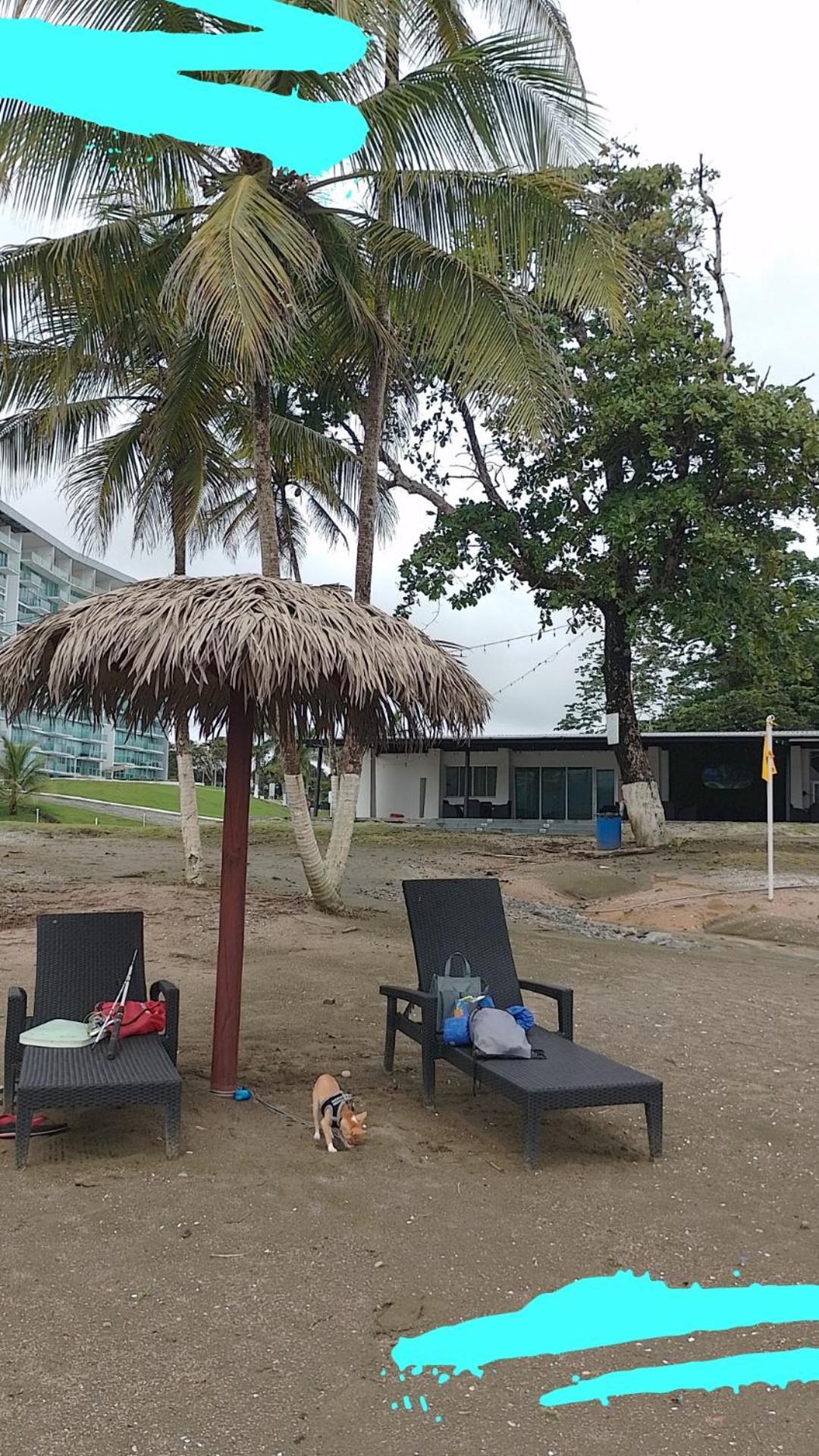 Apartamento En Balabeach Maria Chiquita In Front Of The Beach 2Hab Colon Værelse billede