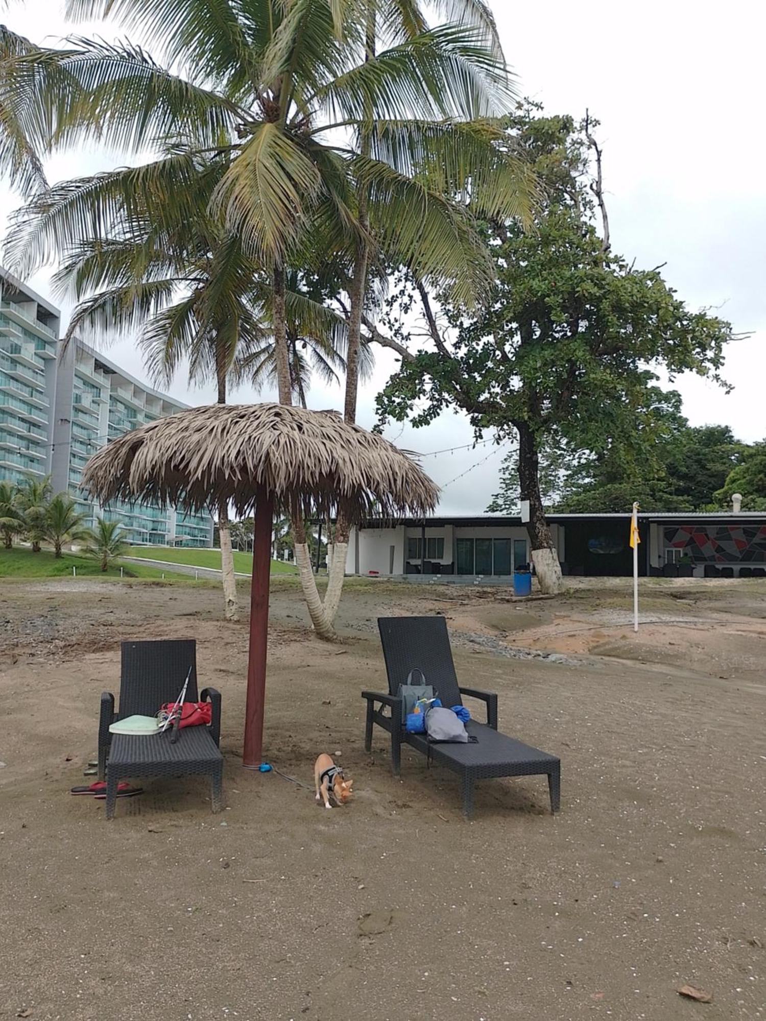 Apartamento En Balabeach Maria Chiquita In Front Of The Beach 2Hab Colon Værelse billede