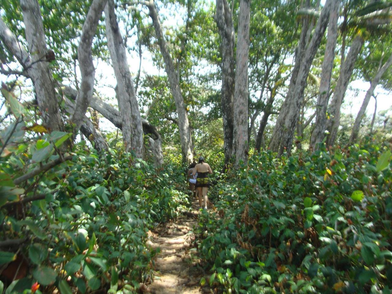 Apartamento En Balabeach Maria Chiquita In Front Of The Beach 2Hab Colon Eksteriør billede