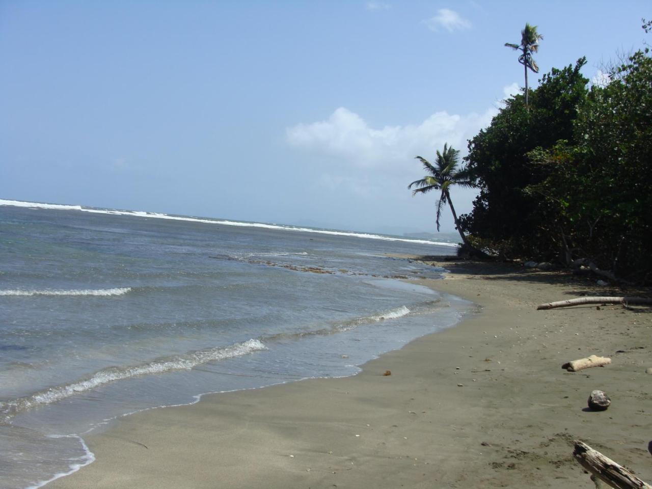 Apartamento En Balabeach Maria Chiquita In Front Of The Beach 2Hab Colon Eksteriør billede
